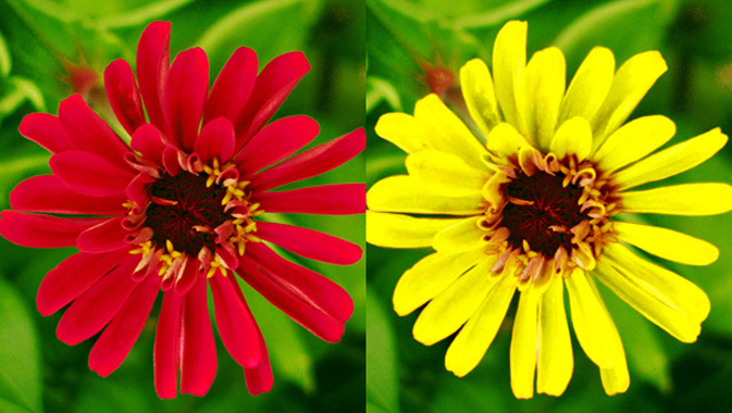 Photoshopで色調補正をするときのコツ Go Nextブログ Photoshopで色調補正をするときのコツ Go Nextブログ