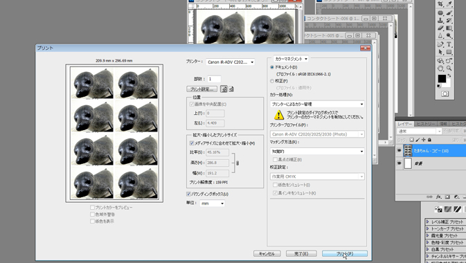 Photoshopでコンタクトシートを作成してみよう Go Nextブログ