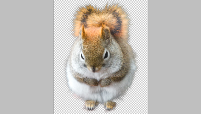 難しい切り抜きも簡単綺麗 Photoshopの 境界線の調整 機能を使ってみよう Go Nextブログ 難しい切り抜きも簡単綺麗 Photoshopの 境界線の調整 機能を使ってみよう Go Nextブログ