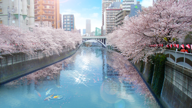 目 黒川 氾濫